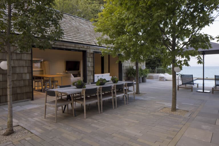 Variegated patio Maple Hill